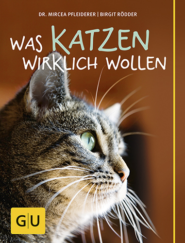 Was Katzen wirklich wollen Was Katzen wirklich wollen