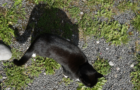 Emma's Schatten übertreibt maßlos Emma's Schatten übertreibt maßlos